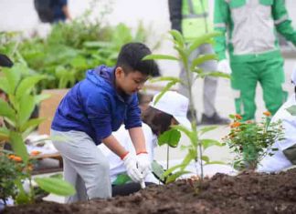 Giải mã giấc mơ - Mơ thấy trồng cây đánh số gì