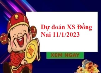 Dự đoán XS Đồng Nai 11/1/2023