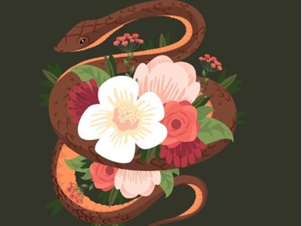 Con số may mắn tuổi Tỵ ngày 2/8/2024