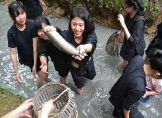 Trông thấy bắt cá báo hiệu điều gì? Thông điệp lành hay dữ