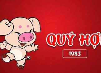 tuổi quý hợi