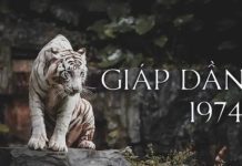 Số phát tài tuổi Giáp Dần 28/9/2025 mang điềm báo gì?