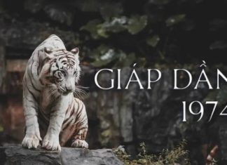 Số phát tài tuổi Giáp Dần 28/9/2025 mang điềm báo gì?