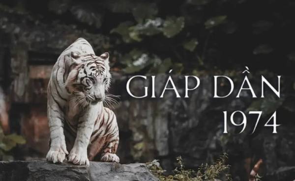 Số phát tài tuổi Giáp Dần 28/9/2025 mang điềm báo gì?