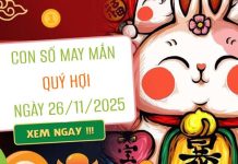 Mở vận may với con số tài lộc tuổi Quý Hợi ngày 26/11/2025 Con số may mắn tuổi Quý Hợi ngày 26/11/2025 theo thiên can