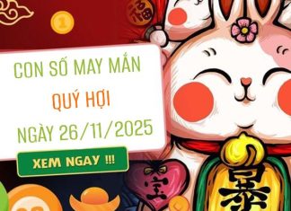 Con số may mắn tuổi Quý Hợi ngày 26/11/2025 theo thiên can