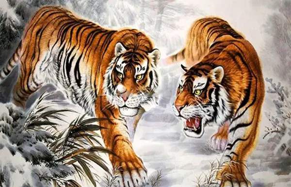 Tham khảo con số phú quý tuổi Nhâm Dần 3/11/2025 dẫn lối tài lộc