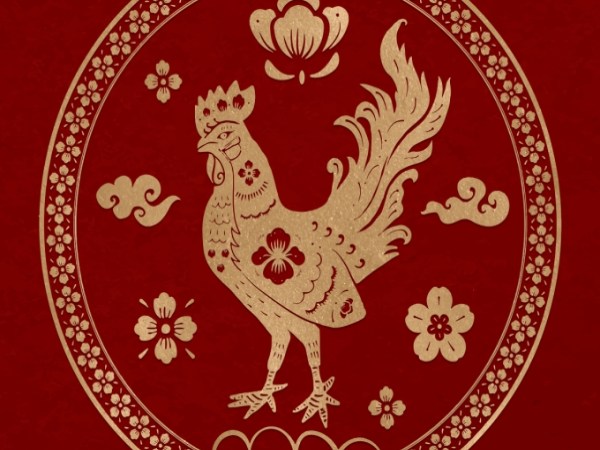 Con số tài lộc tuổi Đinh Dậu theo giấc mơ thường gặp Con số tài lộc tuổi Đinh Dậu theo giấc mơ thường gặp