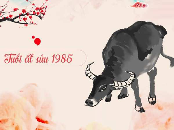 Luận con số tài lộc tuổi Ất Sửu thứ 6 ngày 27/2