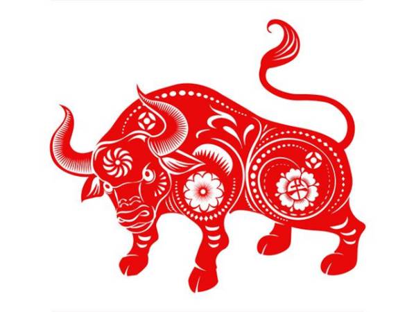 Tổng quan vận trình tuổi Quý Sửu ngày 8/2/2026