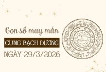 Bật mí con số may mắn ngày 29/03/2026 cung Bạch Dương Bật mí con số may mắn ngày 29/03/2026 cung Bạch Dương