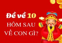 Thống kê đề về 10 hôm sau ra con gì, về con gì lộc phát? Thống kê đề về 10 hôm sau ra con gì, về con gì lộc phát?