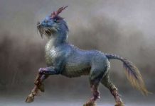 Tìm hiểu kỳ lân số mấy, ý nghĩa kỳ lân trong phong thủy? Tìm hiểu kỳ lân số mấy, ý nghĩa kỳ lân trong phong thủy?