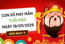 Hốt tài lộc với con số may mắn ngày 19/03/2026 tuổi Mão con số may mắn ngày 19/03/2026 tuổi Mão