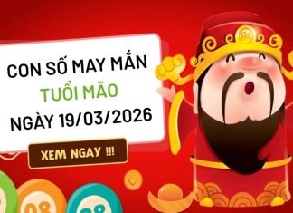 Hốt tài lộc với con số may mắn ngày 19/03/2026 tuổi Mão con số may mắn ngày 19/03/2026 tuổi Mão
