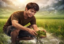 Nằm mơ thấy bắt ếch báo hiệu điều gì, gợi ý con số đẹp?