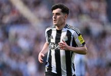 Tin Man City: Etihad quyết tâm phá kỷ lục vì Tino Livramento Tin Man City: Etihad quyết tâm phá kỷ lục vì Tino Livramento