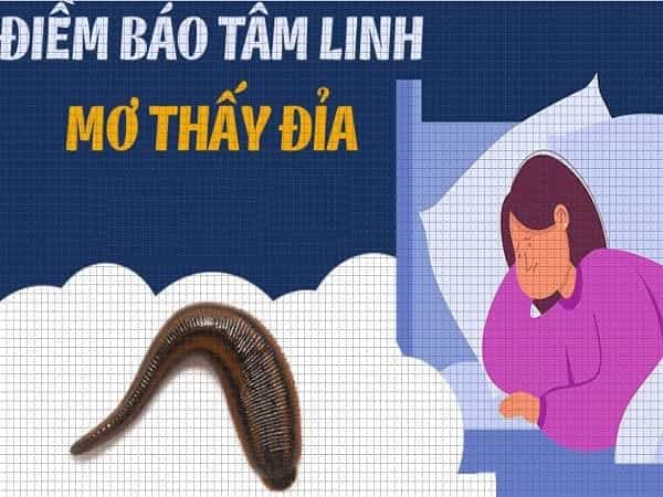 Ý nghĩa tâm linh khi mơ thấy con đỉa
