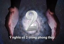 Hé lộ số 2 có ý nghĩa gì trong phong thủy và cuộc sống Hé lộ số 2 có ý nghĩa gì trong phong thủy và cuộc sống