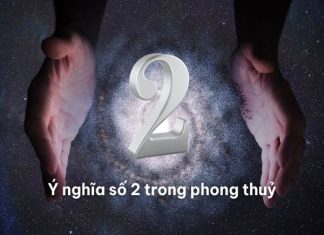 Hé lộ số 2 có ý nghĩa gì trong phong thủy và cuộc sống