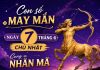 Con số may mắn ngày 7 tháng 6 chủ nhật cung Nhân Mã